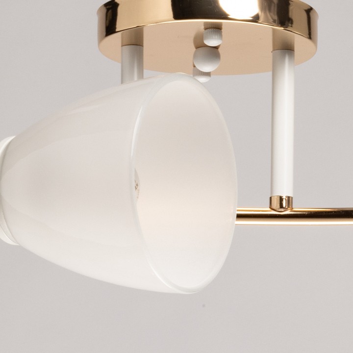 Потолочная люстра De City Восторг 25 3 лампы 242017903