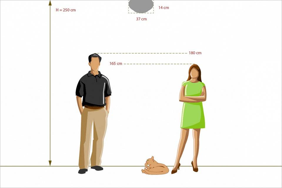 Накладной светильник MW-Light Ариадна 3 лампы E14 450013403