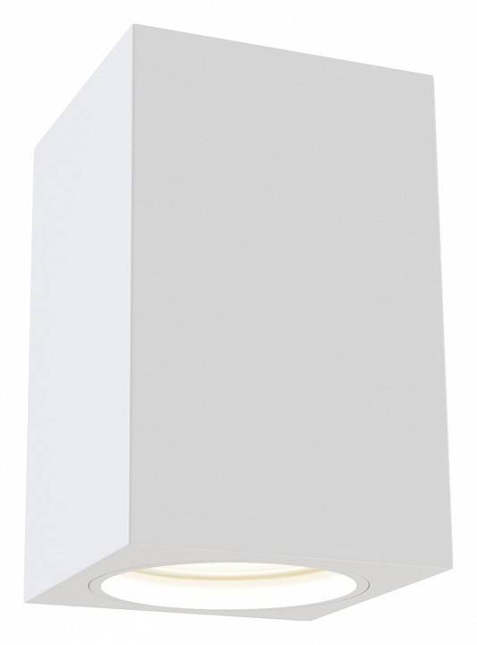 Накладной светильник Maytoni Focus C011CL-01W