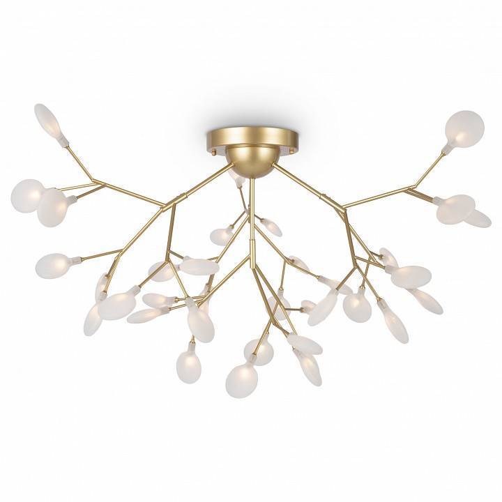 Потолочная люстра Freya Florencia LED 36 Вт FR5049CL-36G