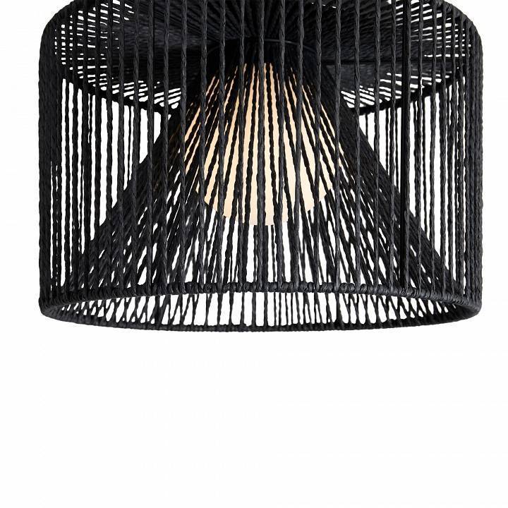 Накладной светильник Freya Cottage FR5405CL-01B1