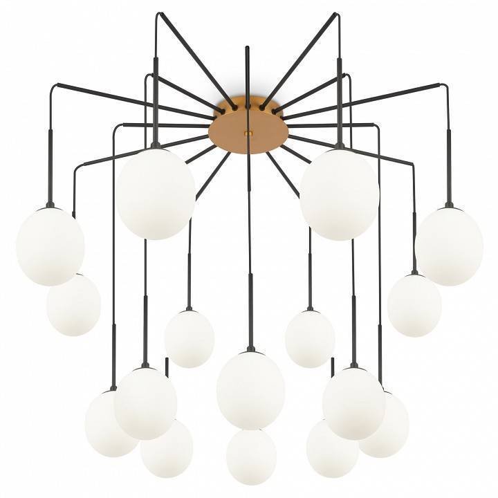 Потолочная люстра Maytoni Branch MOD176PL-16G