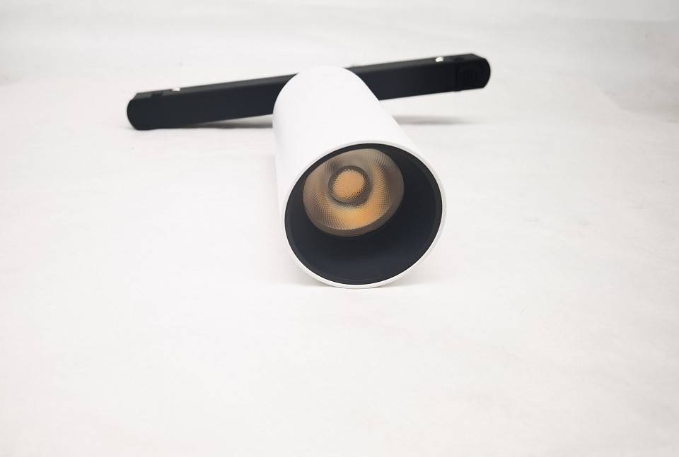 Светильник на штанге Maytoni Focus LED TR032-2-12W3K-S-W