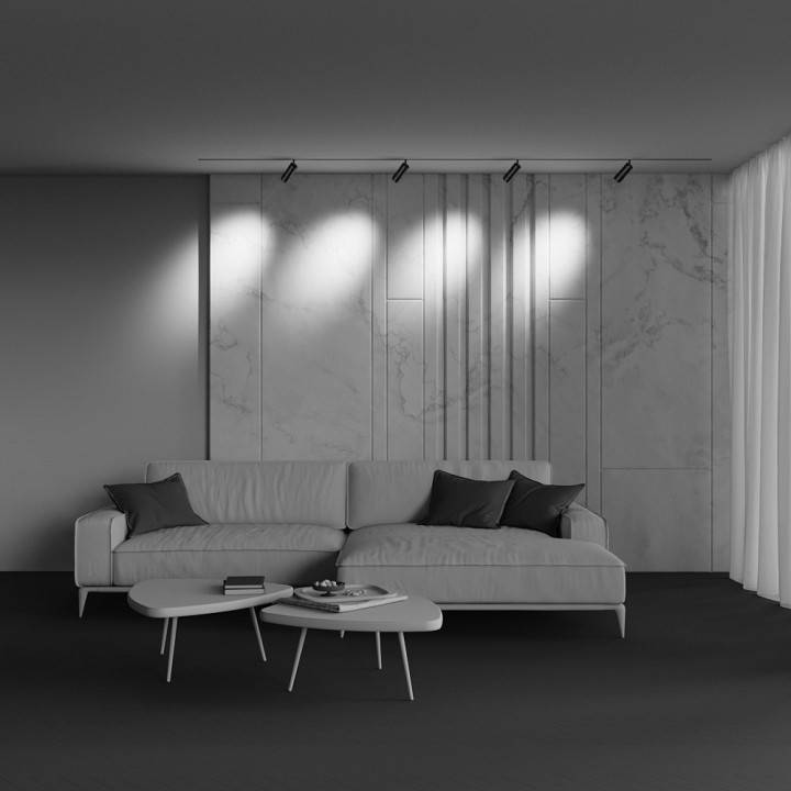 Трековый светильник Maytoni Focus Zoom 12 Вт 4000K TR211-1-12W4K-Z-B