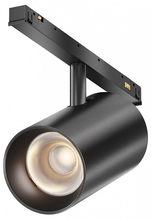Светильник на штанге Maytoni Technical Focus Led TR243-4-12WTW-DSZ-B