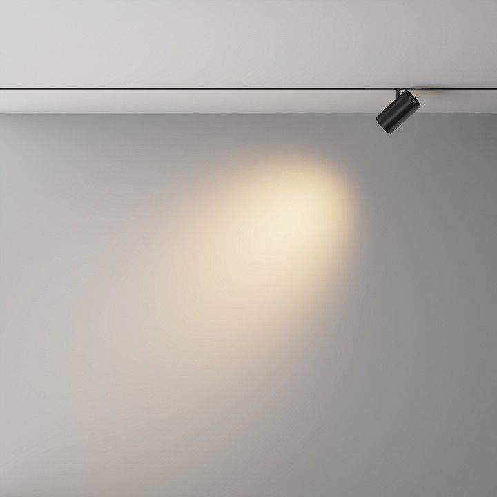 Светильник на штанге Maytoni Technical Focus Led TR243-4-12WTW-DSZ-B