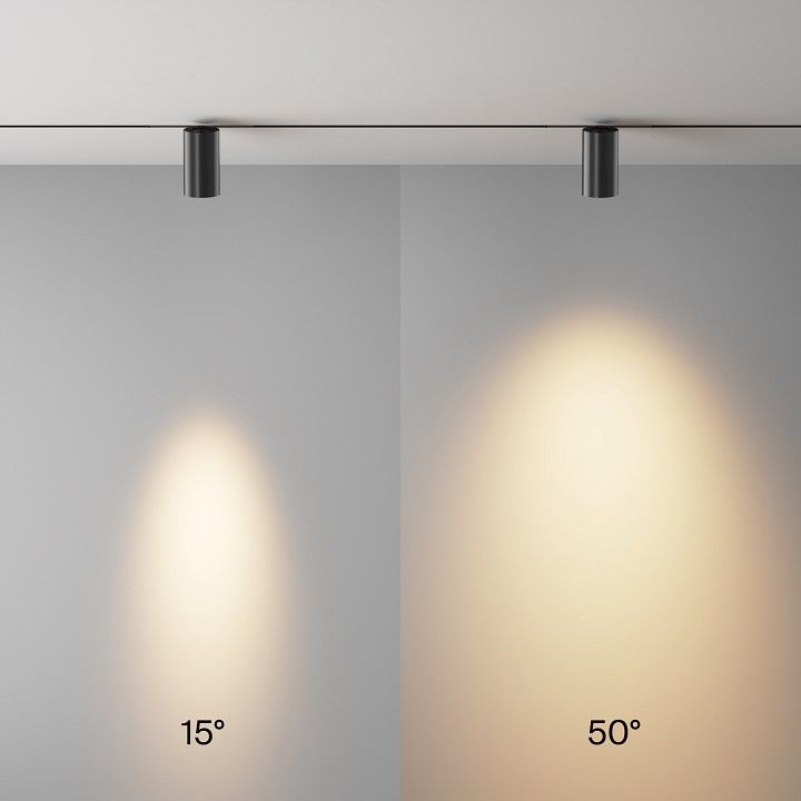 Светильник на штанге Maytoni Technical Focus Led TR243-4-12WTW-DSZ-B