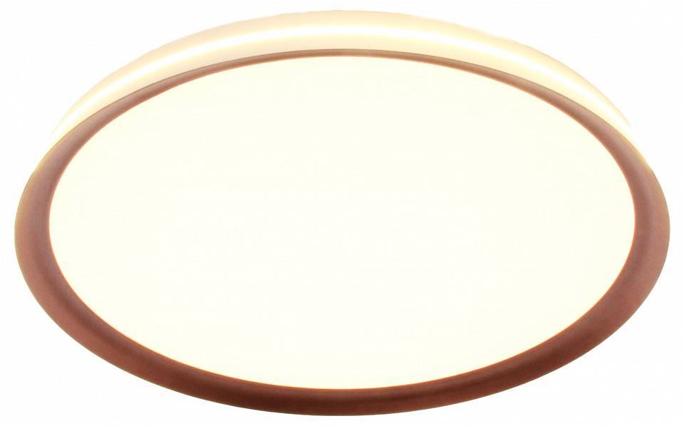 Накладной светильник Mizi`en Titan MZ31502-430