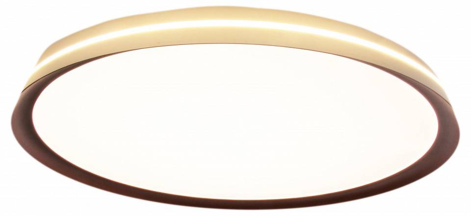 Накладной светильник Mizi`en Titan MZ31502-640