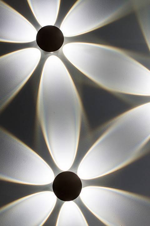 Накладной светильник Novotech Calle 358463