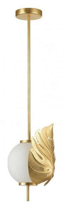 Потолочный светильник Odeon Light Jungle 4864/1