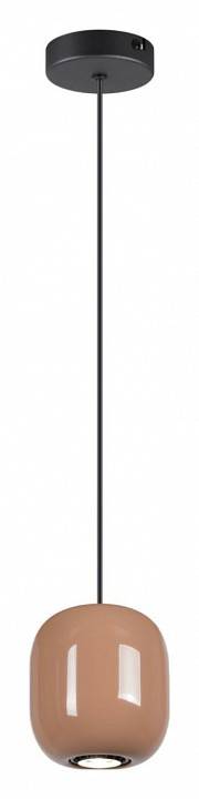 Подвесной светильник Odeon Light Ovali 5053/1G