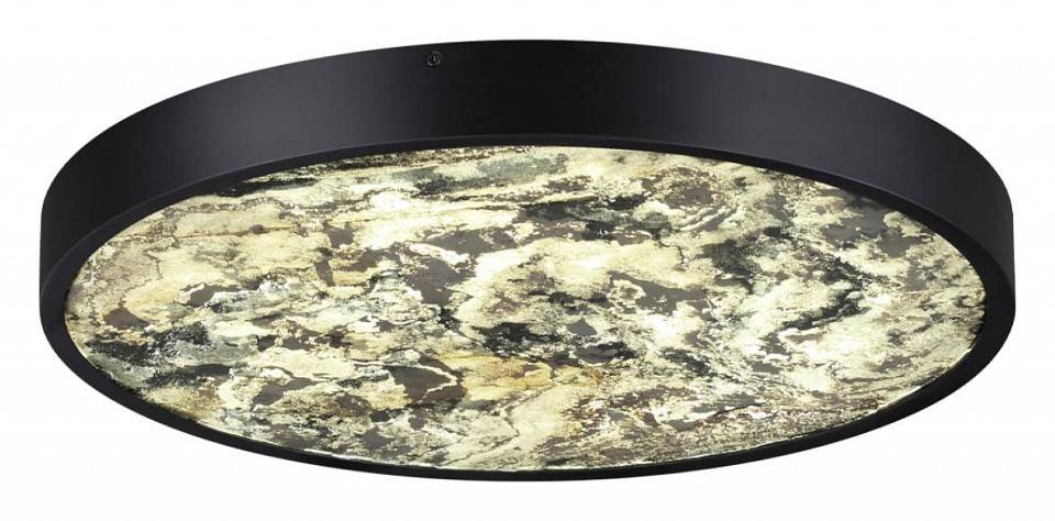 Накладной светильник Odeon Light Bergi 5064/40L