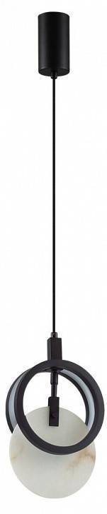 Подвесной светильник Odeon Light Mercury 5422/17L