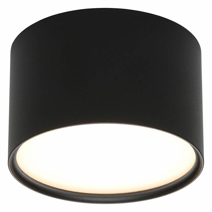 Накладной светильник Omnilux Abano OML-103319-06