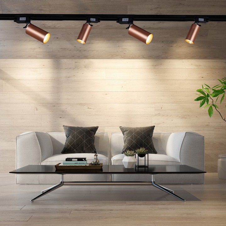 Светильник на штанге  06307-9.3-001CN GU10 SCF