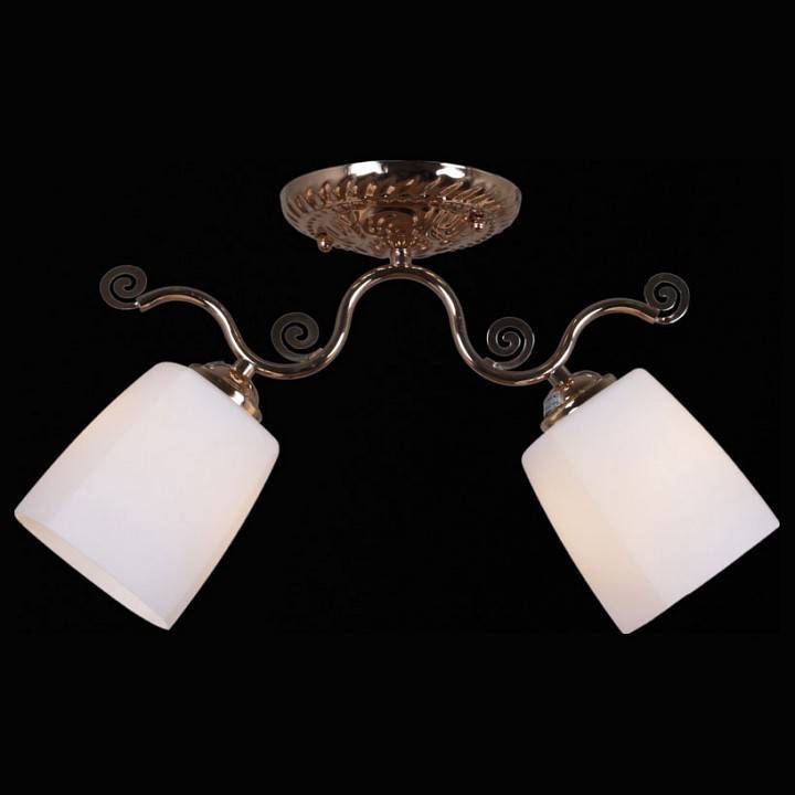 Светильник на штанге Reluce 31409-0.3-02