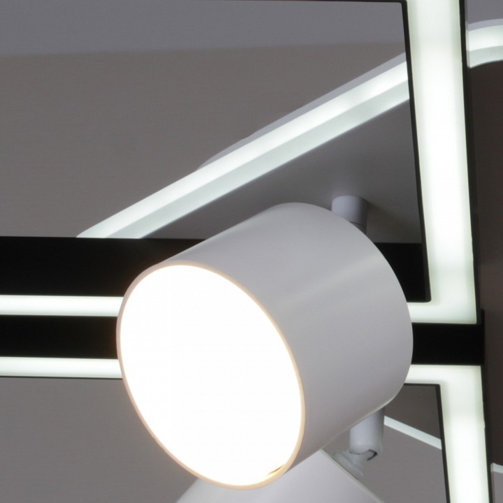 Потолочная люстра Reluce 75406-0.3-4+4+1