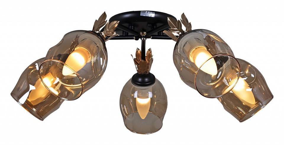 Потолочная люстра Reluce 81701 5 x E27 81701-0.3-05