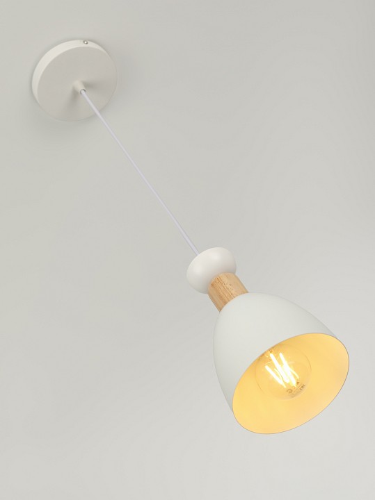 Подвесной светильник Rivoli  5109-201