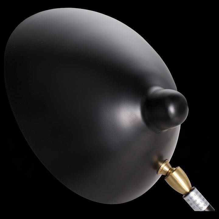 Настольная лампа декоративная ST Luce Spruzzo LED SL305.404.01