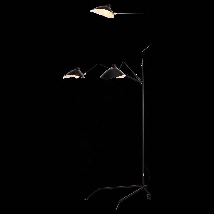 Торшер ST-Luce Spruzzo SL305.405.03