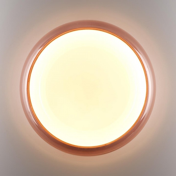 Накладной светильник Sonex PORTMAN 7778/DLN