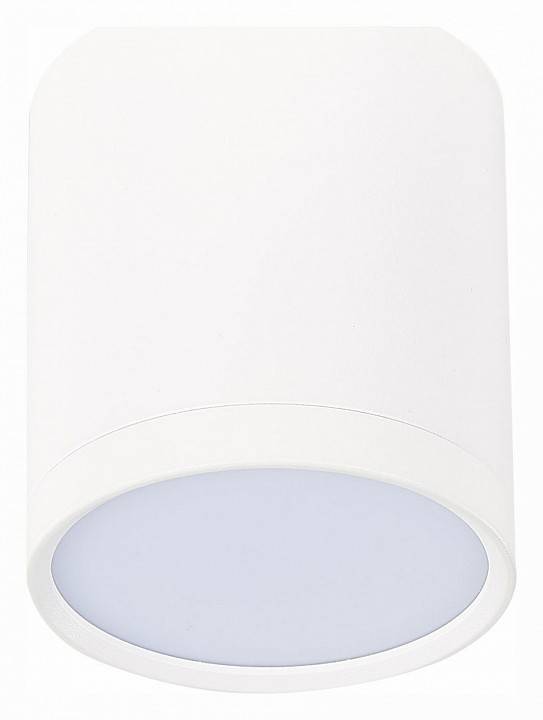 Накладной светильник ST-Luce Rene ST113.542.05