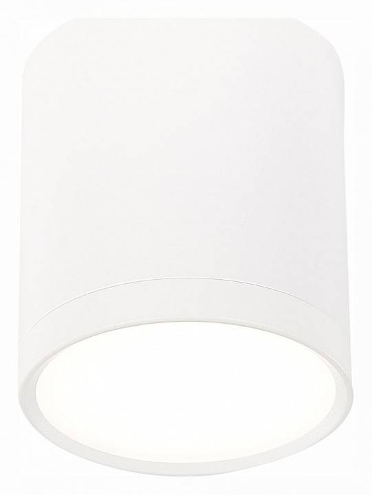 Накладной светильник ST-Luce Rene ST113.542.05