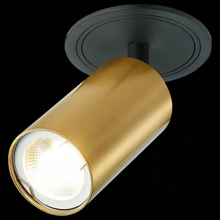 Спот ST-Luce ST303 1xGU10 ST303.208.01