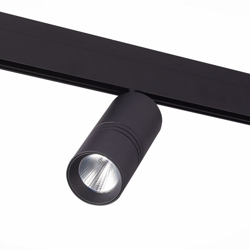 Светильник на штанге ST-Luce SKYLINE 48 ST365.446.20.1