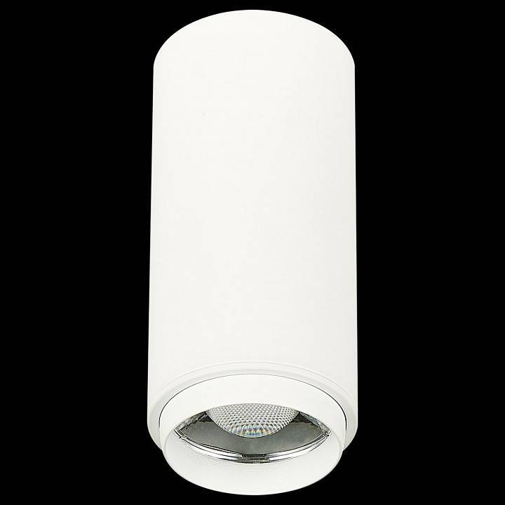 Накладной светильник ST-Luce Zoom ST600.532.10