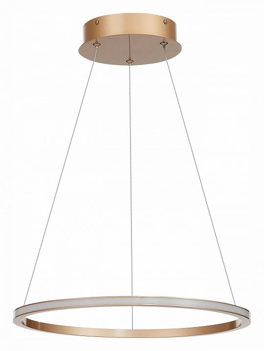 Подвесной светильник ST-Luce ST604 OUT ST604.243.22