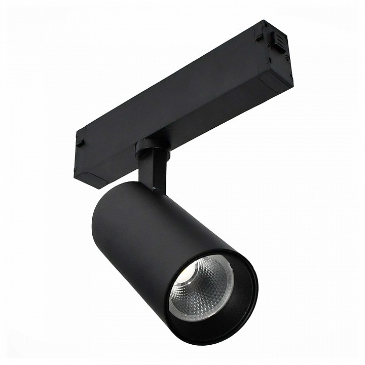 Светильник на штанге ST-Luce SKYLINE 220 ST660.446.10.1