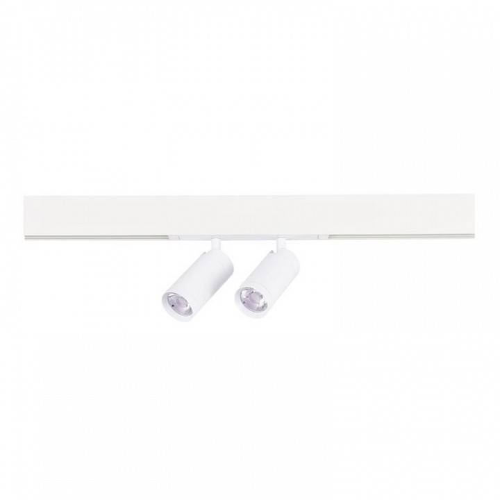 Светильник на штанге ST-Luce Skyline 220 ST660.586.20