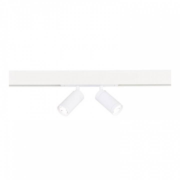 Светильник на штанге ST-Luce Skyline 220 ST660.586.20