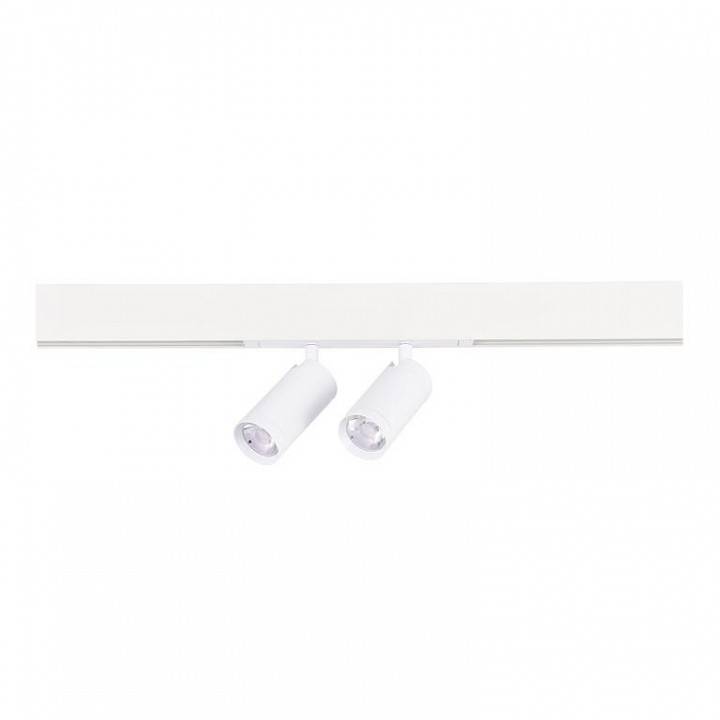 Светильник на штанге ST-Luce Skyline 220 ST660.586.20