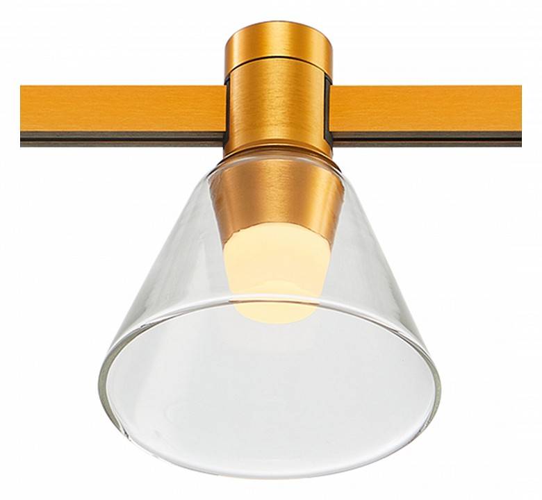 Светильник на штанге ST-Luce Farm ST814.206.03