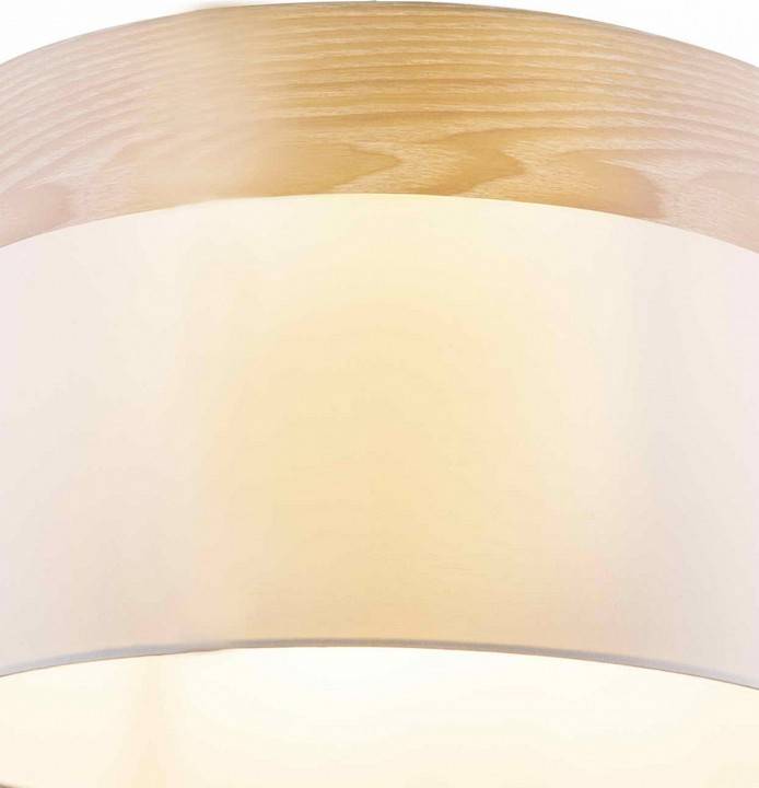 Подвесной светильник TopLight Mabel TL1121-1H