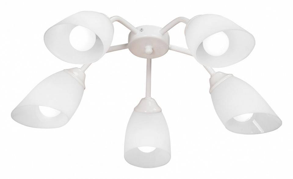 Потолочная люстра Vitaluce V31950 V31950/5PL