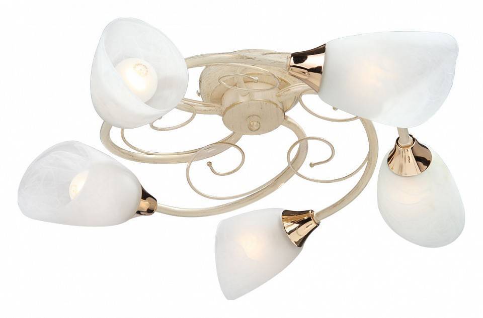 Потолочная люстра Vitaluce V3663 5 ламп V3663/5PL