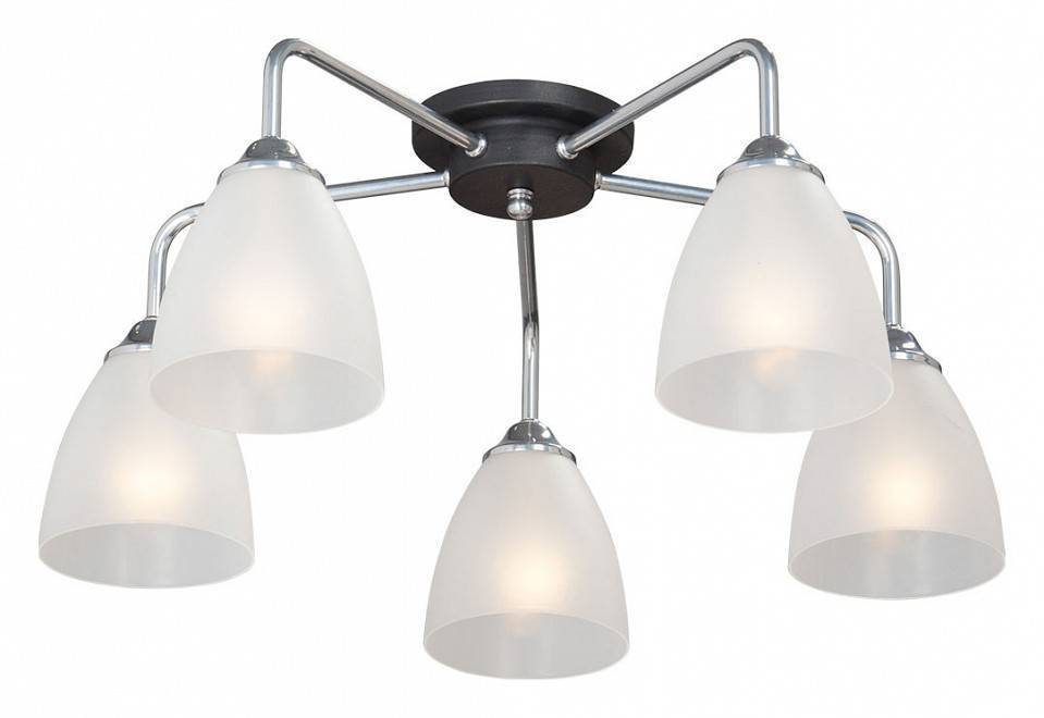 Потолочная люстра Vitaluce V4500 V4500-9/5PL