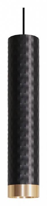 Подвесной светильник Wolta CELLA WSL-GU10/P10BG