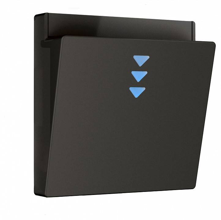 Накладка для электронного карточного выключателя Werkel черный a062006