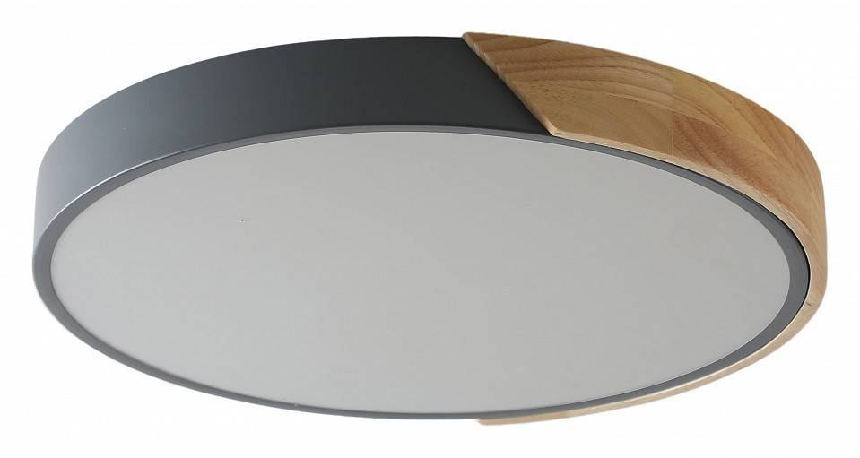 Накладной светильник Zortes ALBERRO ZRS.01280.24