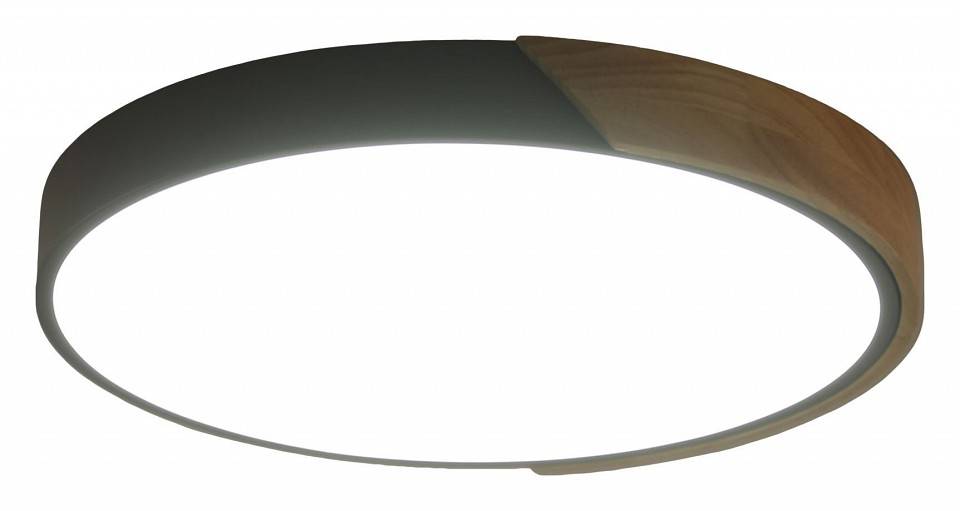 Светильник накладной Zortes ALBERRO ZRS.01280.36