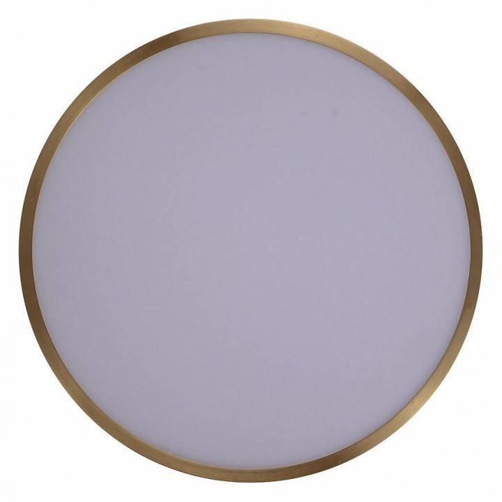 Светильник накладной Zortes Monna ZRS.1209.10