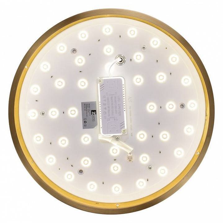 Светильник накладной Zortes Monna ZRS.1209.10