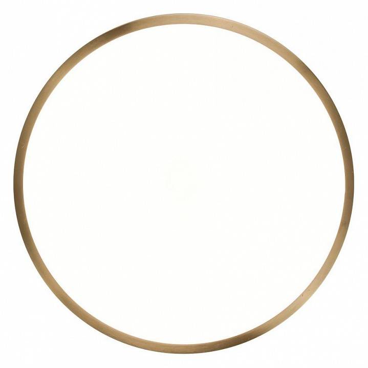 Светильник накладной Zortes Monna ZRS.1209.10