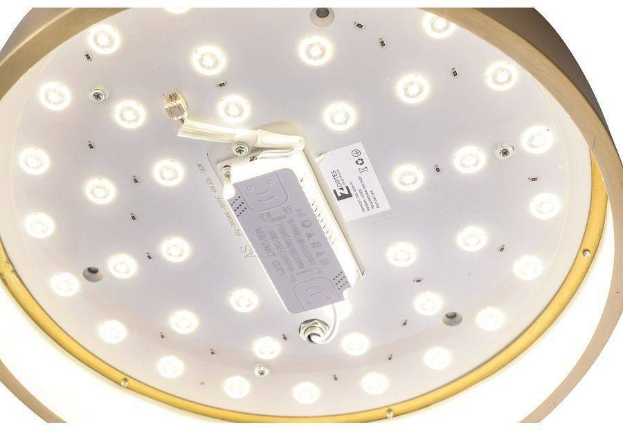 Светильник накладной Zortes Monna ZRS.1209.10